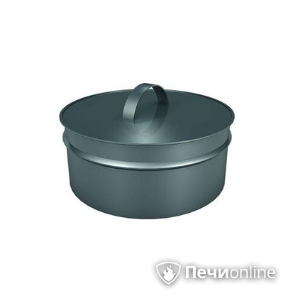 Заглушки Теплов и Сухов Заглушка ревизии Термо-Р 304 0.5 D220(120) в Ноябрьске