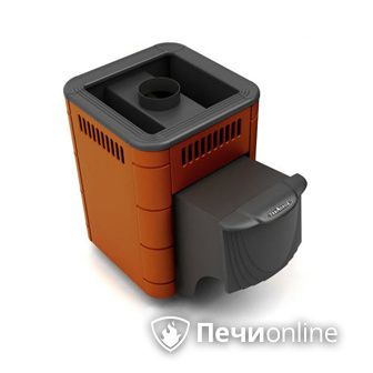 Дровяная банная печь TMF Оса Carbon терракота дверь антрацит в Ноябрьске